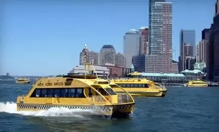 3-Hour Bus + Boat Tour